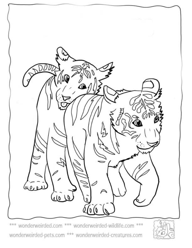 I made the coloring page of cat for my kids but you can use it too! Free Coloring Pages Of Cute Baby Animals Download Free Coloring Pages Of Cute Baby Animals Png Images Free Cliparts On Clipart Library