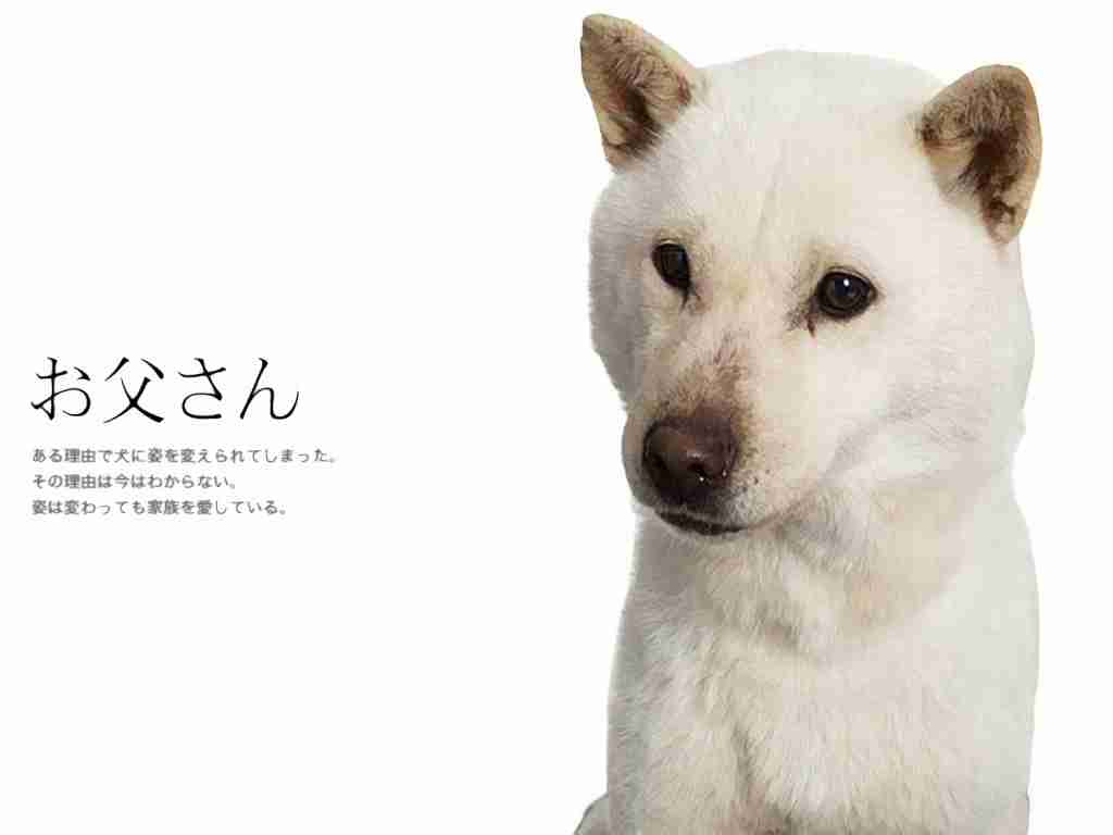 ソフトバンク お父さん 壁紙 Jpbestwallpaper