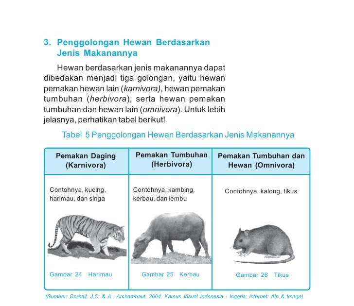  Gambar  Hewan  Herbivora  Omnivora Karnivora  AA Contoh