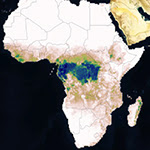 image generated by VEDA Dashboard showing a biomass dataset in Africa