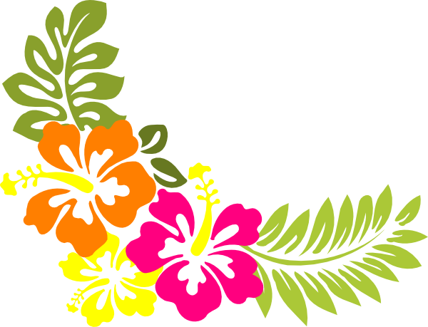 美しい花の画像 75 ハワイ イラスト フリー