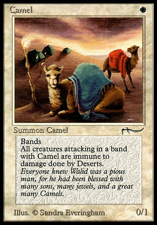 Camel