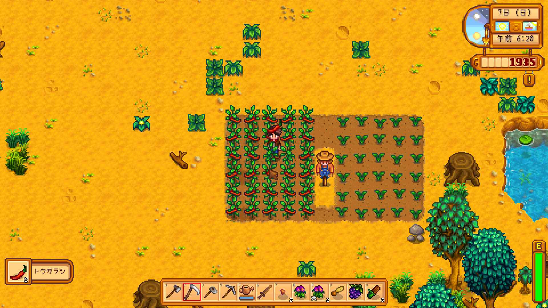 ベストオブ Stardew Valley ゲームパッド 100 イラスト