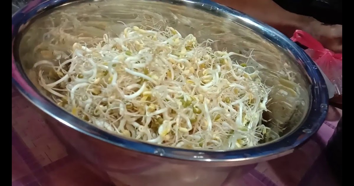 Cara Membuat Toge/Cambah / Cara Membuat BAKWAN KUAH CUKO ...