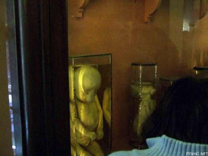 Museum Paling Sadis Dunia, Koleksi Museum Seram Paling Menyeramkan