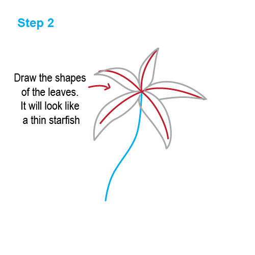 Simple Step By Step Palm Tree Drawing