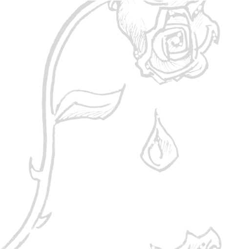 Orasnap Drawing Of The Beauty And The Beast Rose