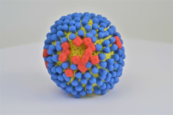 Influenza vaccine model