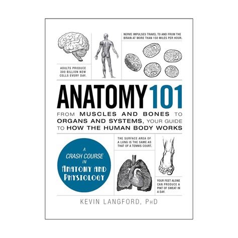 Download AudioBook Anatomy 101: From Muscles and Bones to ...