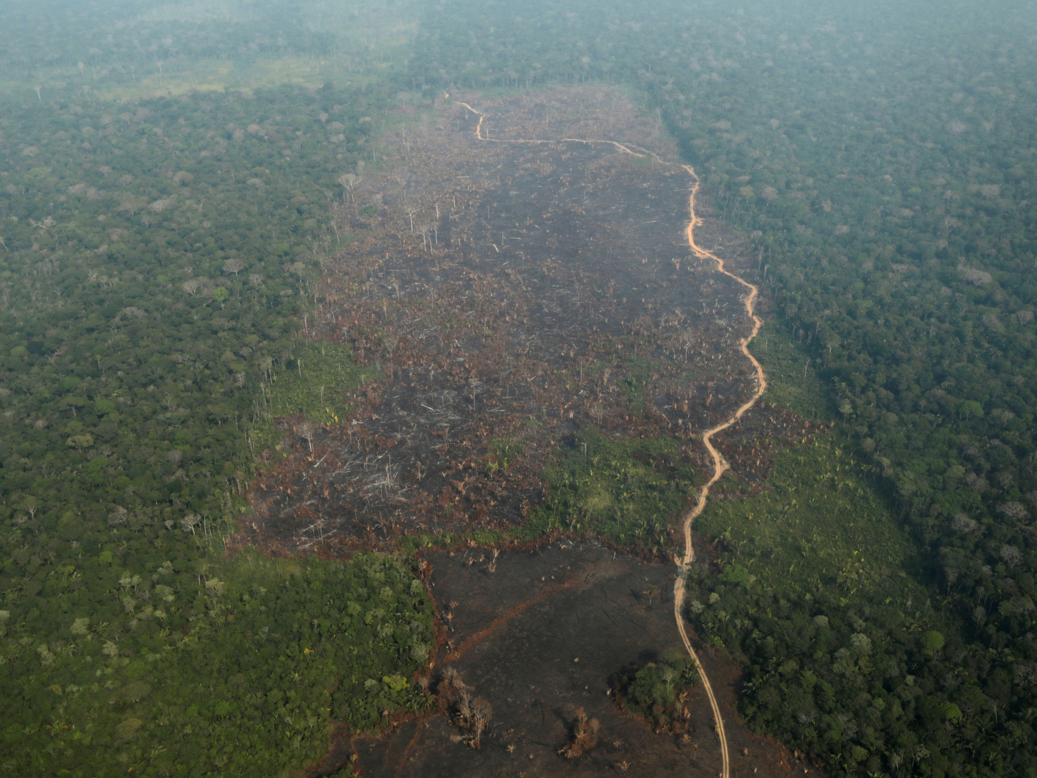 Desmatamento da Amazônia sobe 93% no ano até setembro, diz Inpe