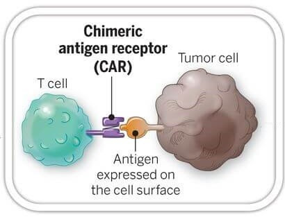 Illustration of a CAR T cell binding a tumor antigen