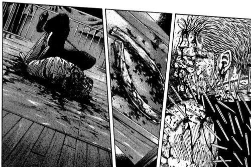 シマウマ 漫画 彩 世界漫画の物語