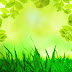 20+ Wallpaper Bunga Warna Hijau
