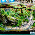 Dragon Stone Mountain Aquascape