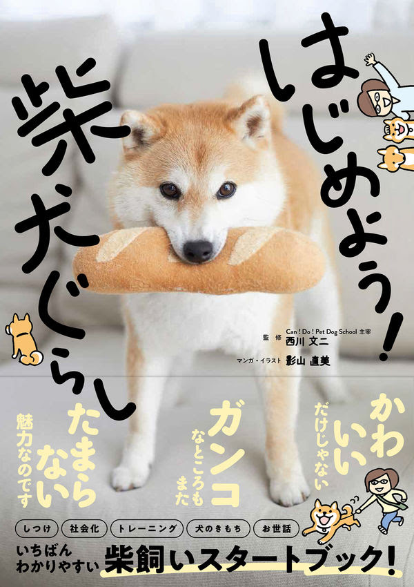 ぜいたく柴犬 Pc 壁紙 犬 すべての美しい花の画像