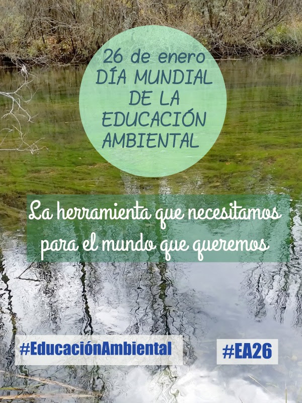 Qué es, por qué se celebra, su importancia y distintas actividades. Dia Mundial De La Educacion Ambiental Mercados De Medio Ambiente