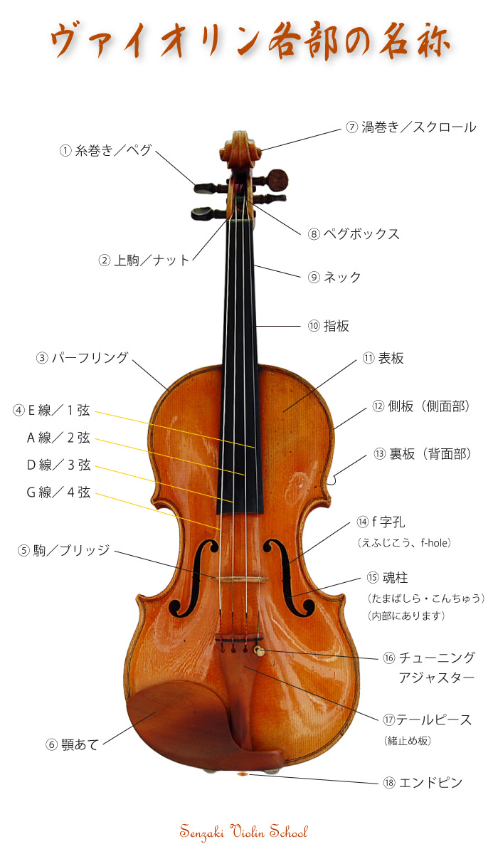 Ngagolak バイオリン いらすとや