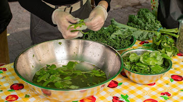 Cooking Demo Photo (Clean your Greens)