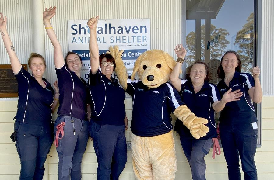 Council staff at Shoalhaven Animal Shelter