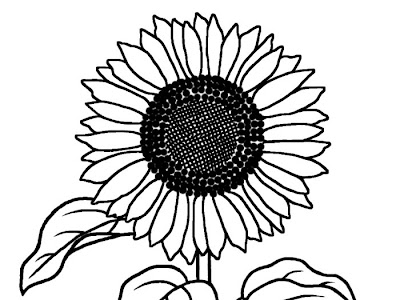 かわいいディズニー画像 ひまわり イラスト 手書き 白黒
