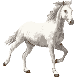 すべての動物の画像 綺麗な白馬 馬 イラスト