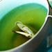 The Truth About Green Tea