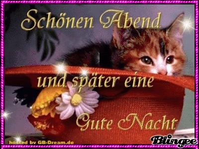 Schönen dienstag guten morgen 129. Schonen Abend Noch Gif