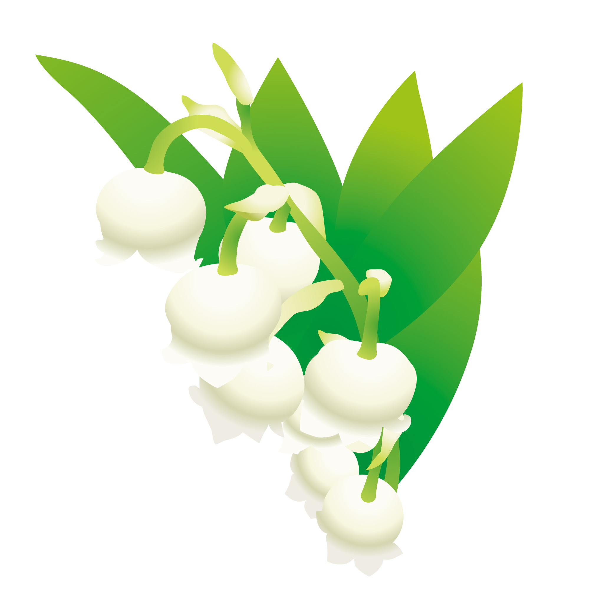 美しい花の画像 上イラスト 素材 5 月 イラスト