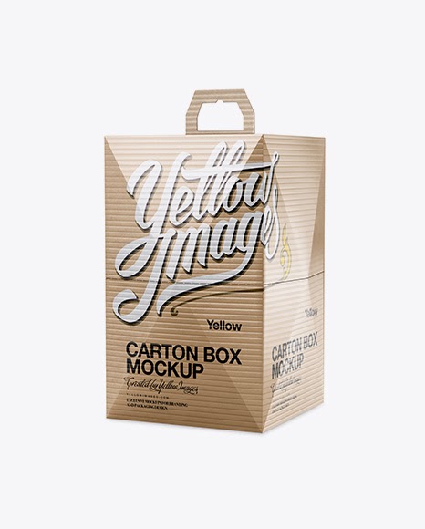 Download Download Kraft Carton Box Mockup Half Side View Eye Level ...