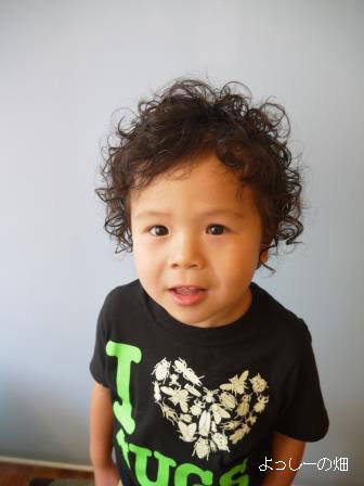 子供 髪型 男の子 短髪 くせ毛 Lowkernesia Com