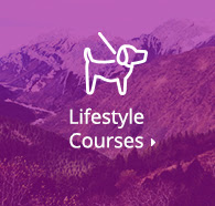 Browse Lifestyle Courses