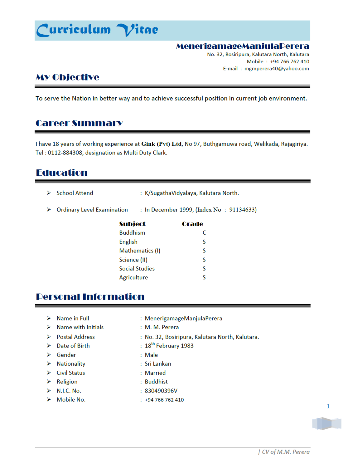Here, you can free download cv template & guide to create curriculum vitae. Writing A Professional Cv Resume Official Documents Netcv Writter