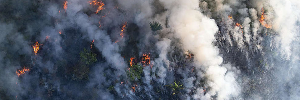 11_09_incendios_queimadas_amazonia_floresta_foto_daniel_beltra_greenpeace.jpg