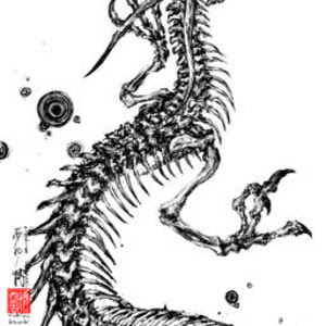すべての動物の画像 骨 イラスト かっこいい