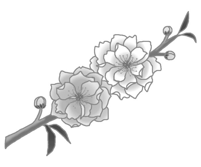 上ひな祭り 桃の花 イラスト 白黒 ただのディズニー画像