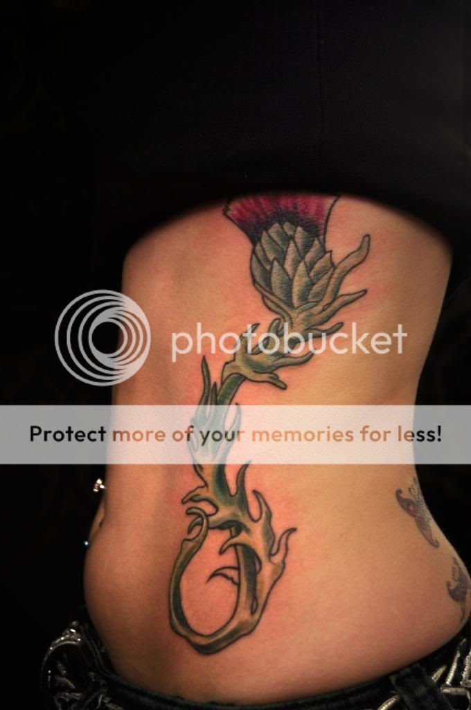 scottish thistle tattoo tattoo sung