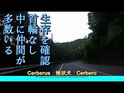 生きていた 力丸ダム 十二支苑 ケルベロス ｕ W わんわんお