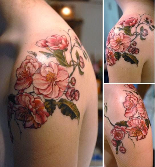 Apple Blossom Tattoo Tattoo Gallery Collection