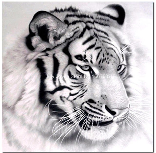 Gambar Hewan Harimau Hitam Putih Rino Gambar