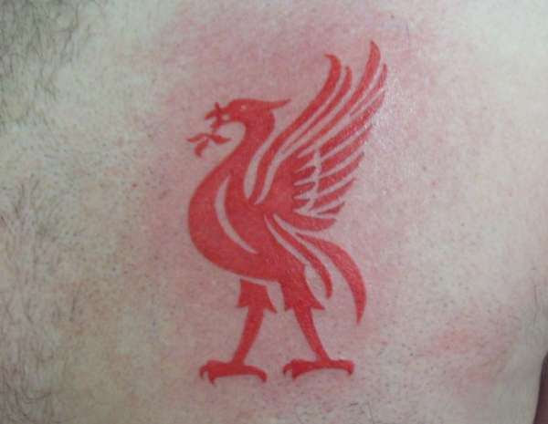 Maybe you would like to learn more about one of these? Liver Bird Tattoo