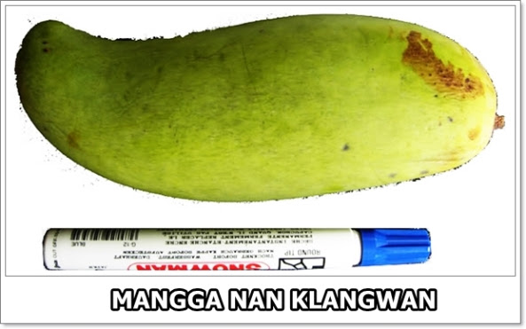 Mangga Nan Klangwan-01