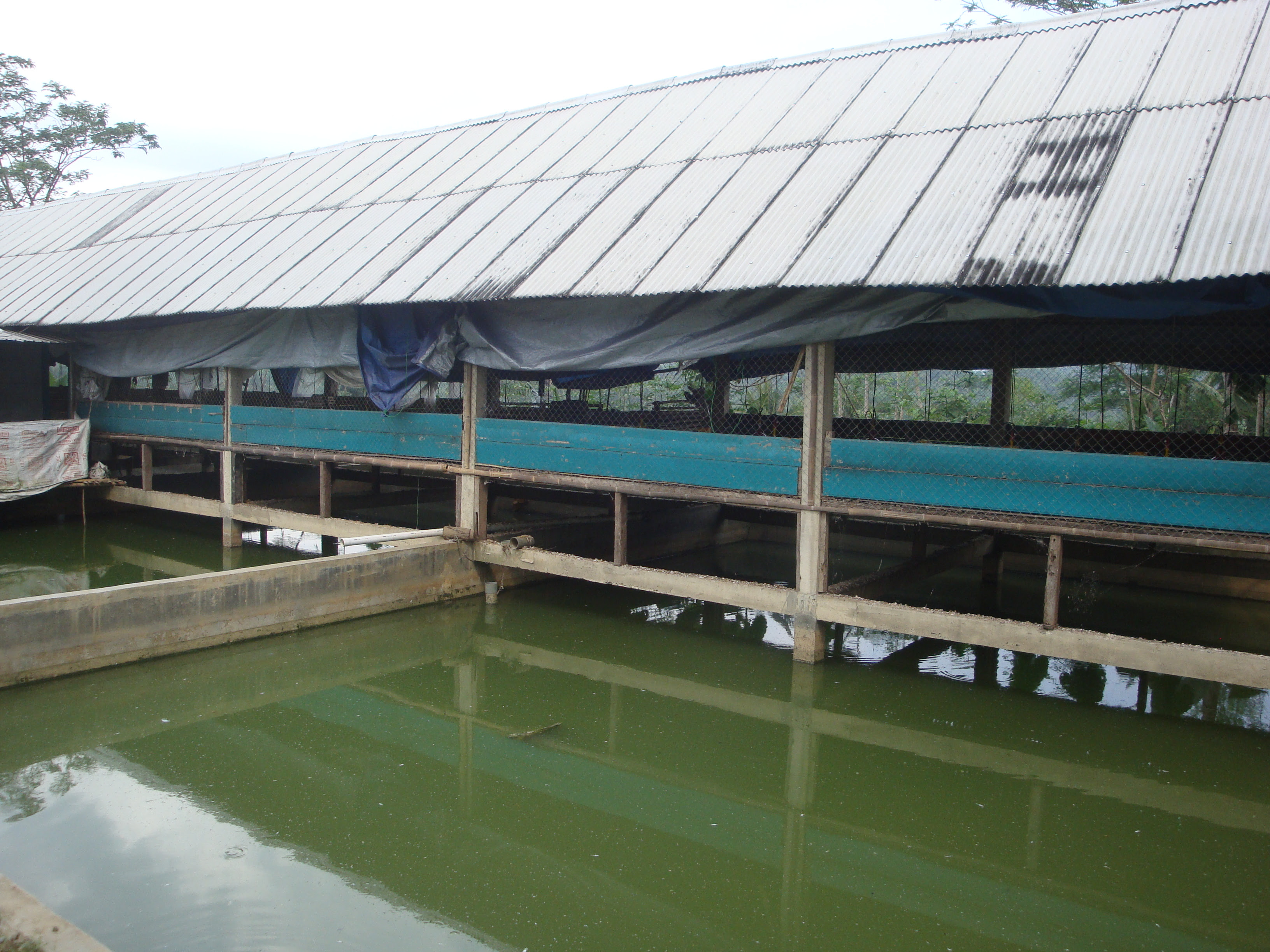 Surat Rasmi Banjir - 1 Descargar