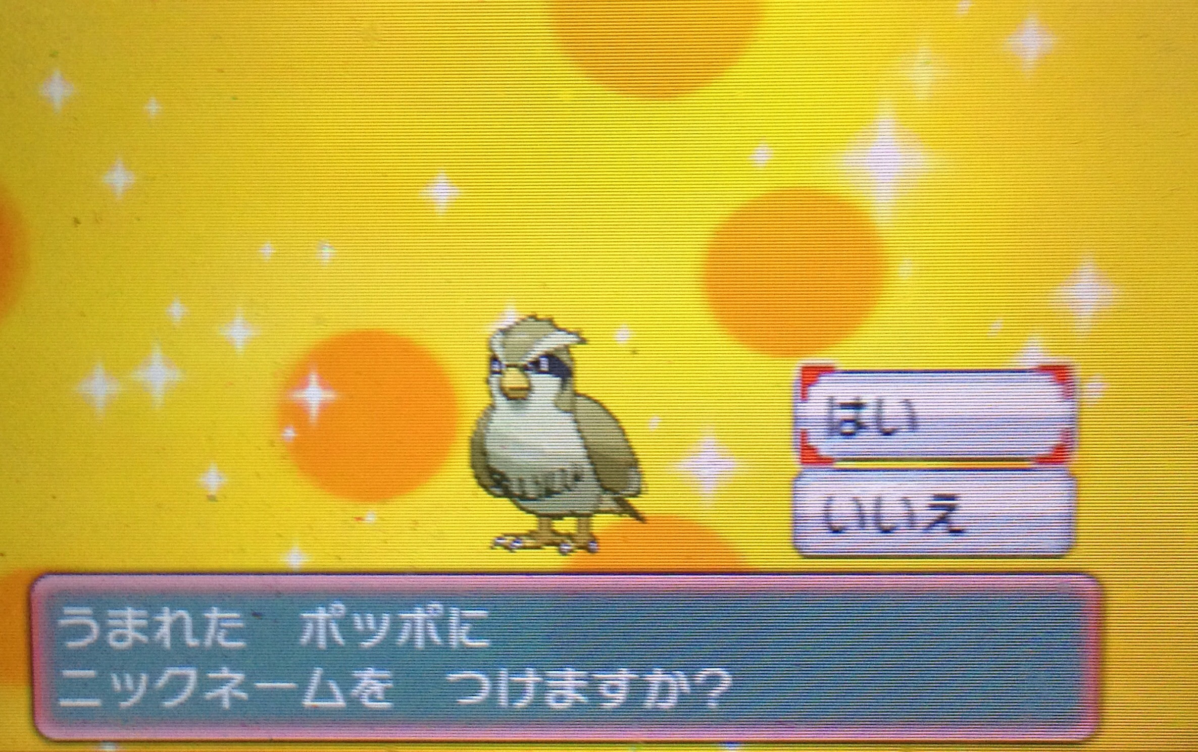 ポケモンoras シンクロ イメージポケモンコレクション