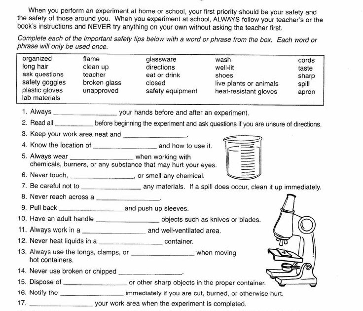 free printable science worksheets pdf ks3 science
