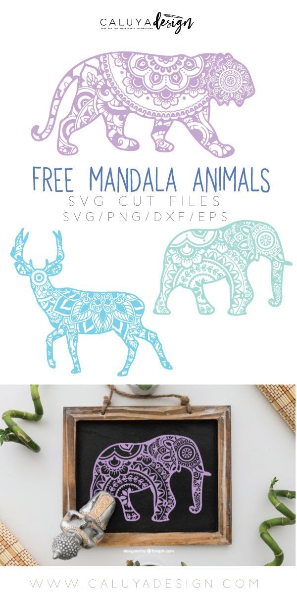 Download Free Baby Animal Mandala Svg Project - Free Layered SVG Files