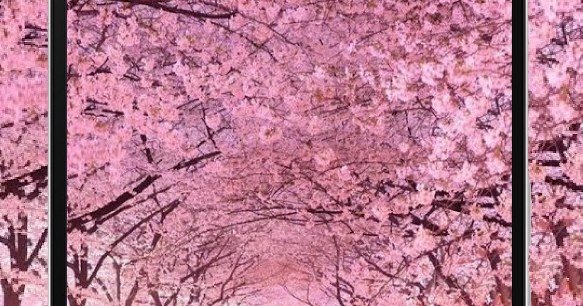 14+ Gambar Wallpaper Hp Bunga Sakura - Richi Wallpaper
