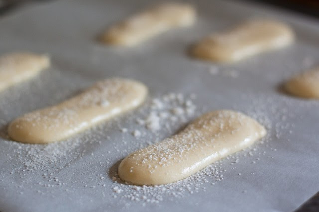Make my homemade lady fingers recipe for tiramisu and more desserts! Making Lady Fingers At Home Emiko Davies