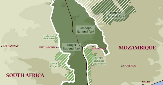 Big news as Kruger National Park 10-year management plan approved by Minister - Africa Geographic