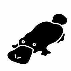 動物の画像について 無料ダウンロードカモノハシ イラスト 簡単
