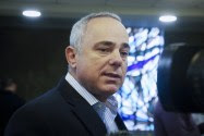 Energy Minister Yuval Steinitz